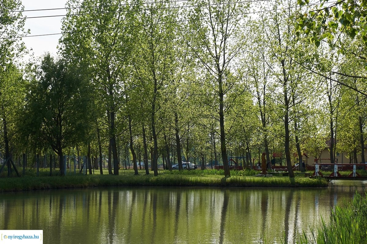 Tüskevári csendélet 