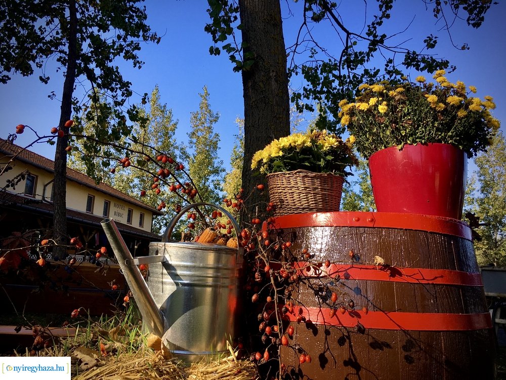 Tüskevári ősz 2020