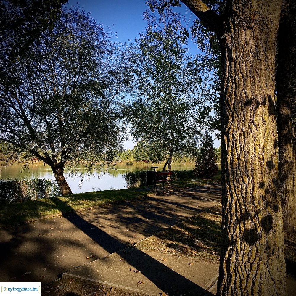 Tüskevári ősz 2020