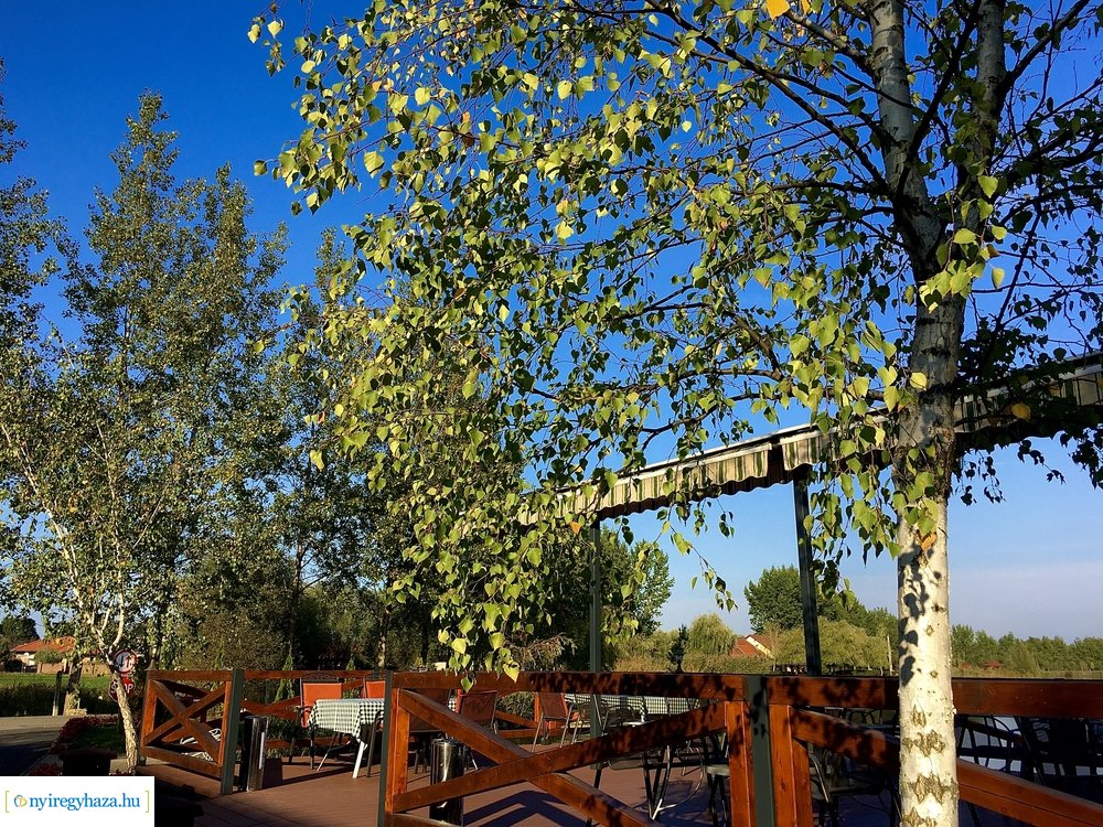 Tüskevári ősz 2020