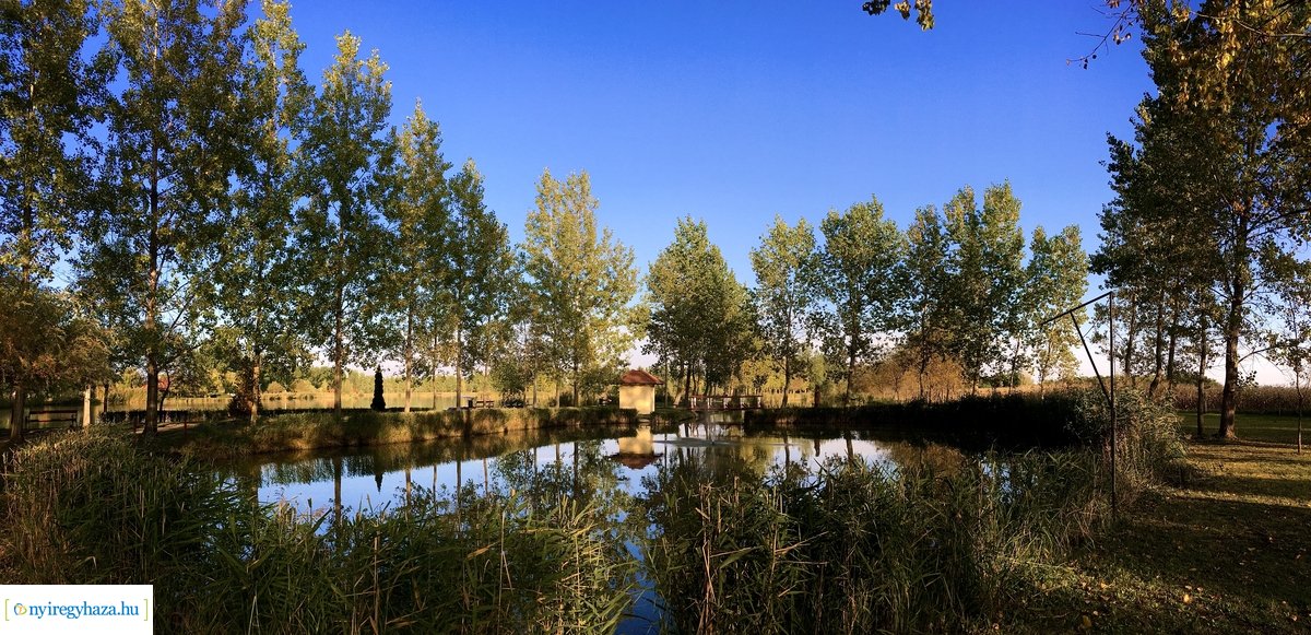 Tüskevári ősz 2020