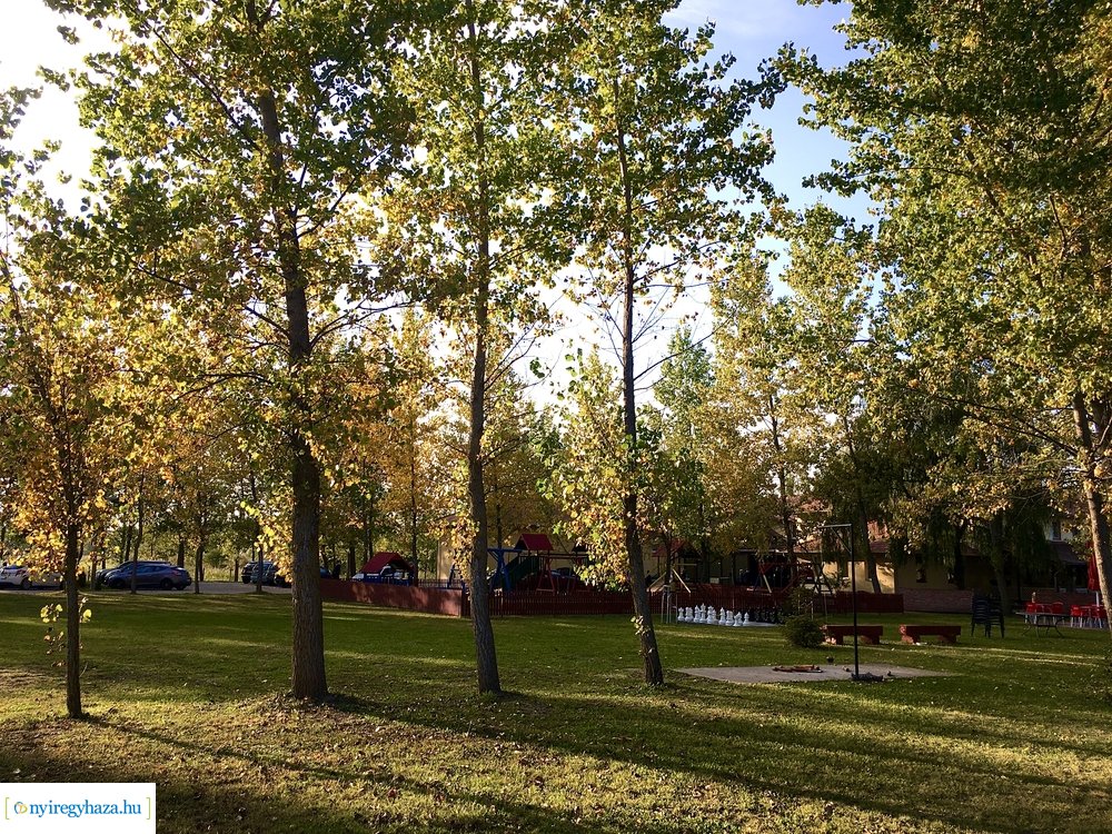 Tüskevári ősz 2020