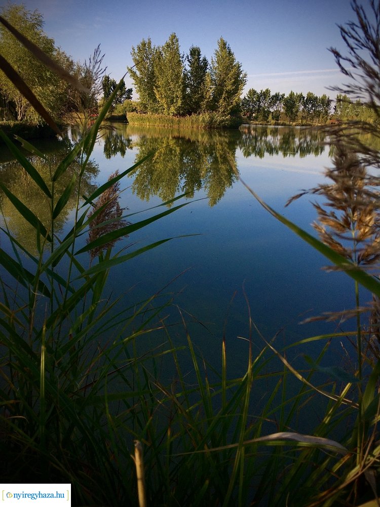 Tüskevári ősz 2020