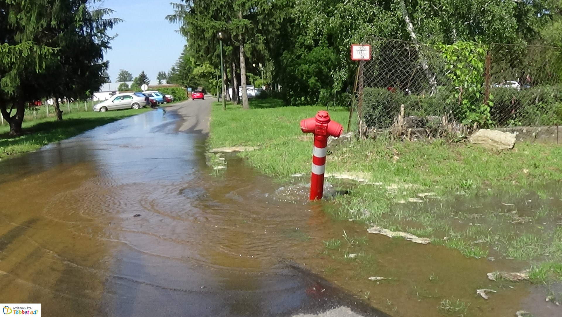 Tűzcsapot törtek a Westsik Vilmos utcán