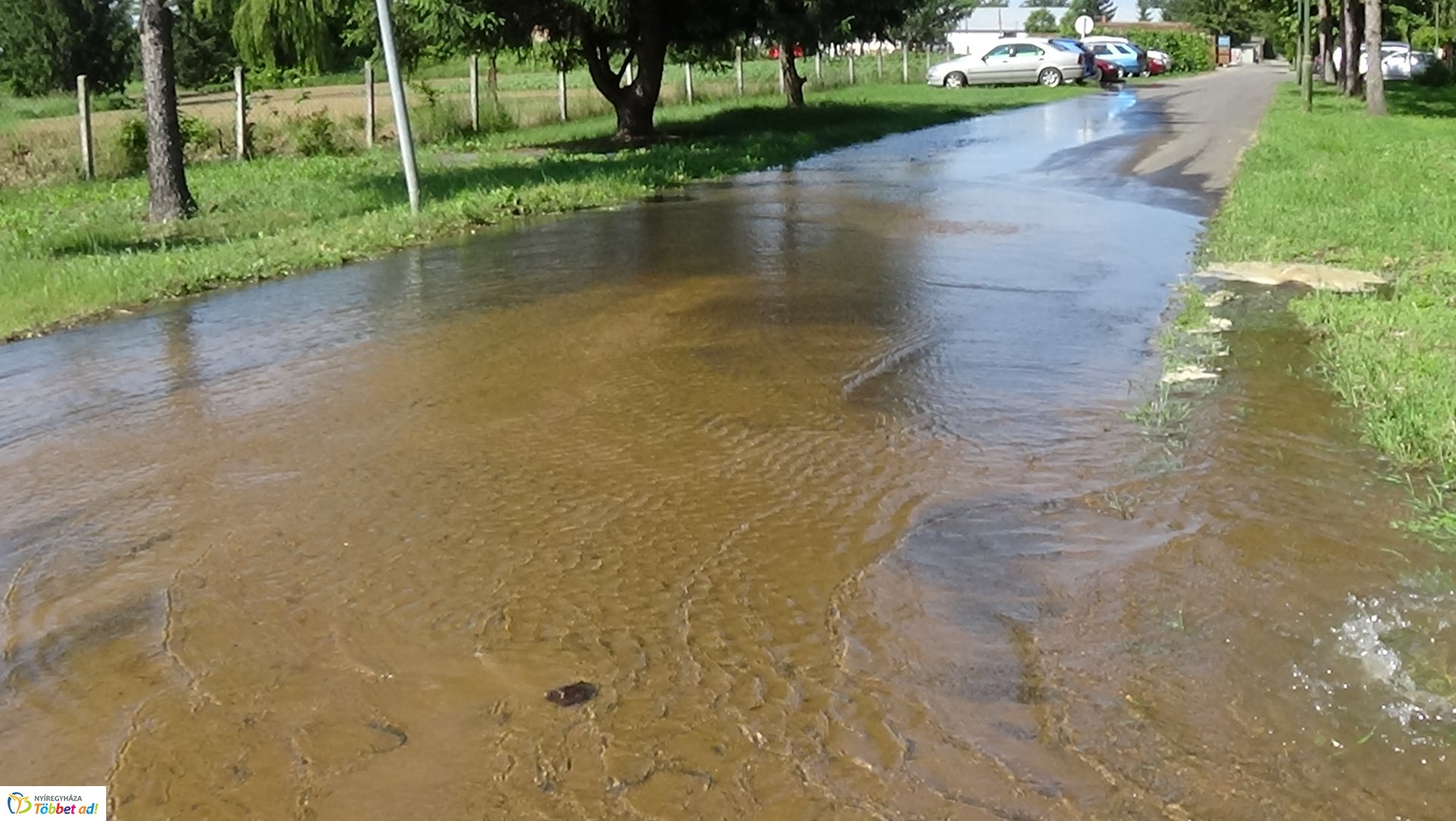 Tűzcsapot törtek a Westsik Vilmos utcán
