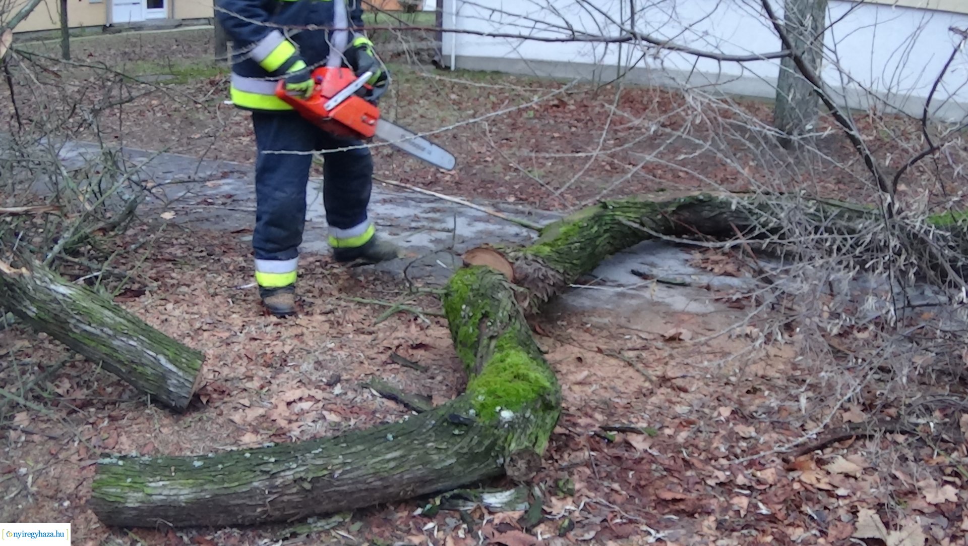 Tűzoltók segítettek szerda reggel a Gádor Béla utcán