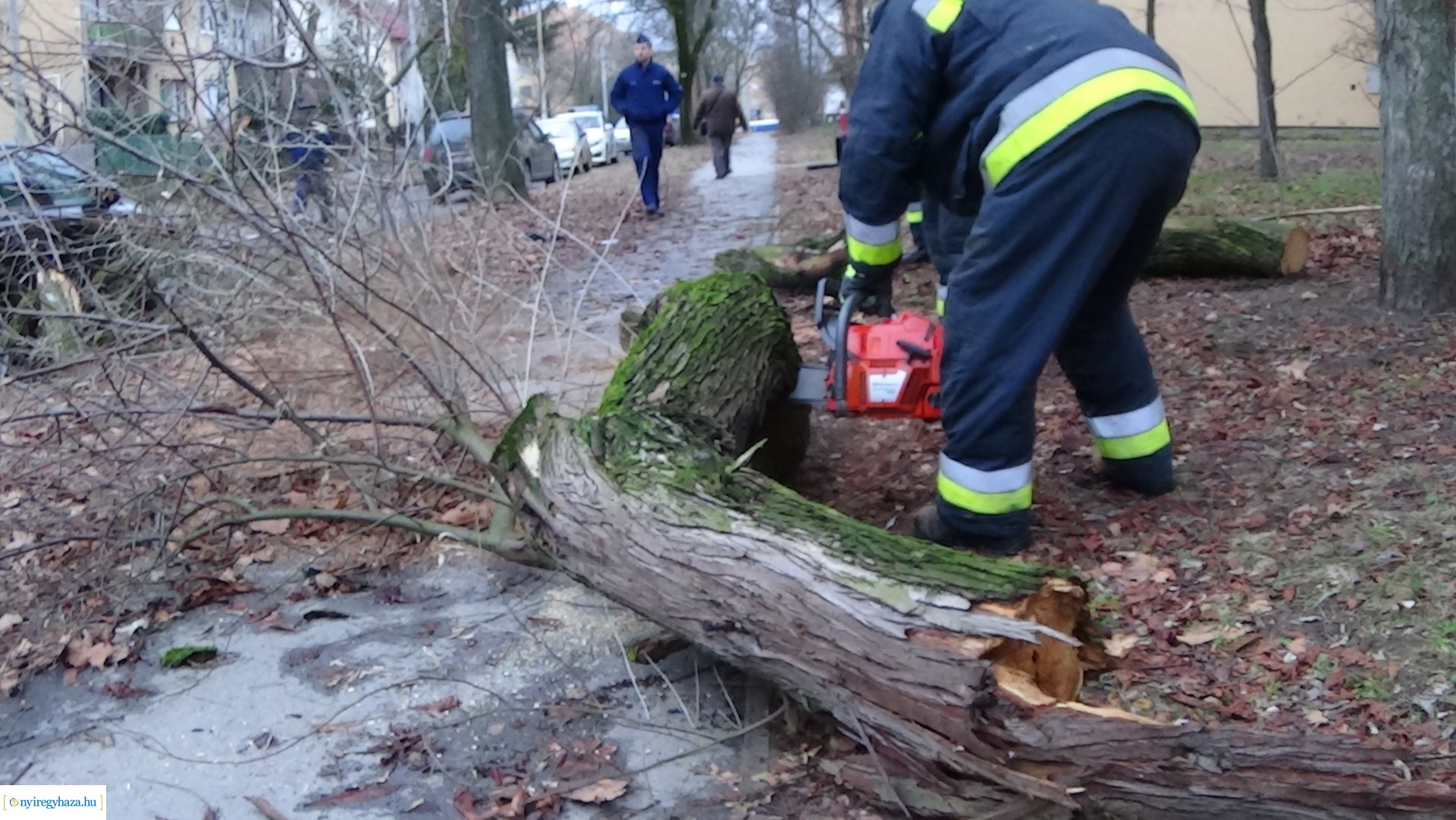 Tűzoltók segítettek szerda reggel a Gádor Béla utcán