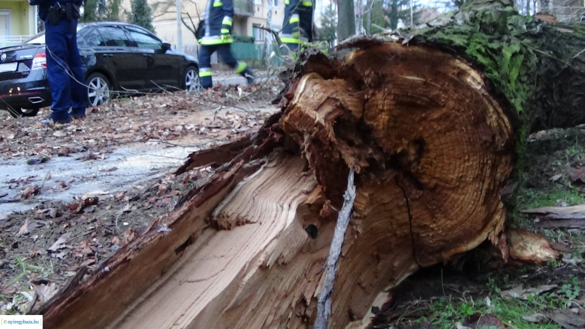 Tűzoltók segítettek szerda reggel a Gádor Béla utcán