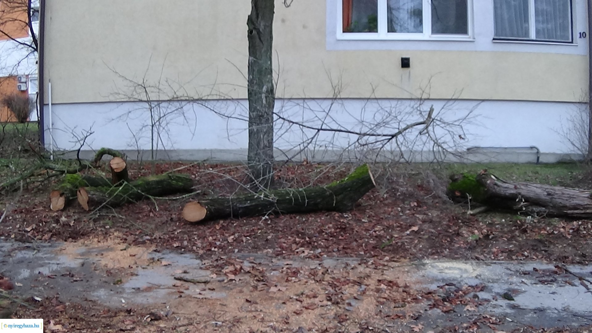 Tűzoltók segítettek szerda reggel a Gádor Béla utcán