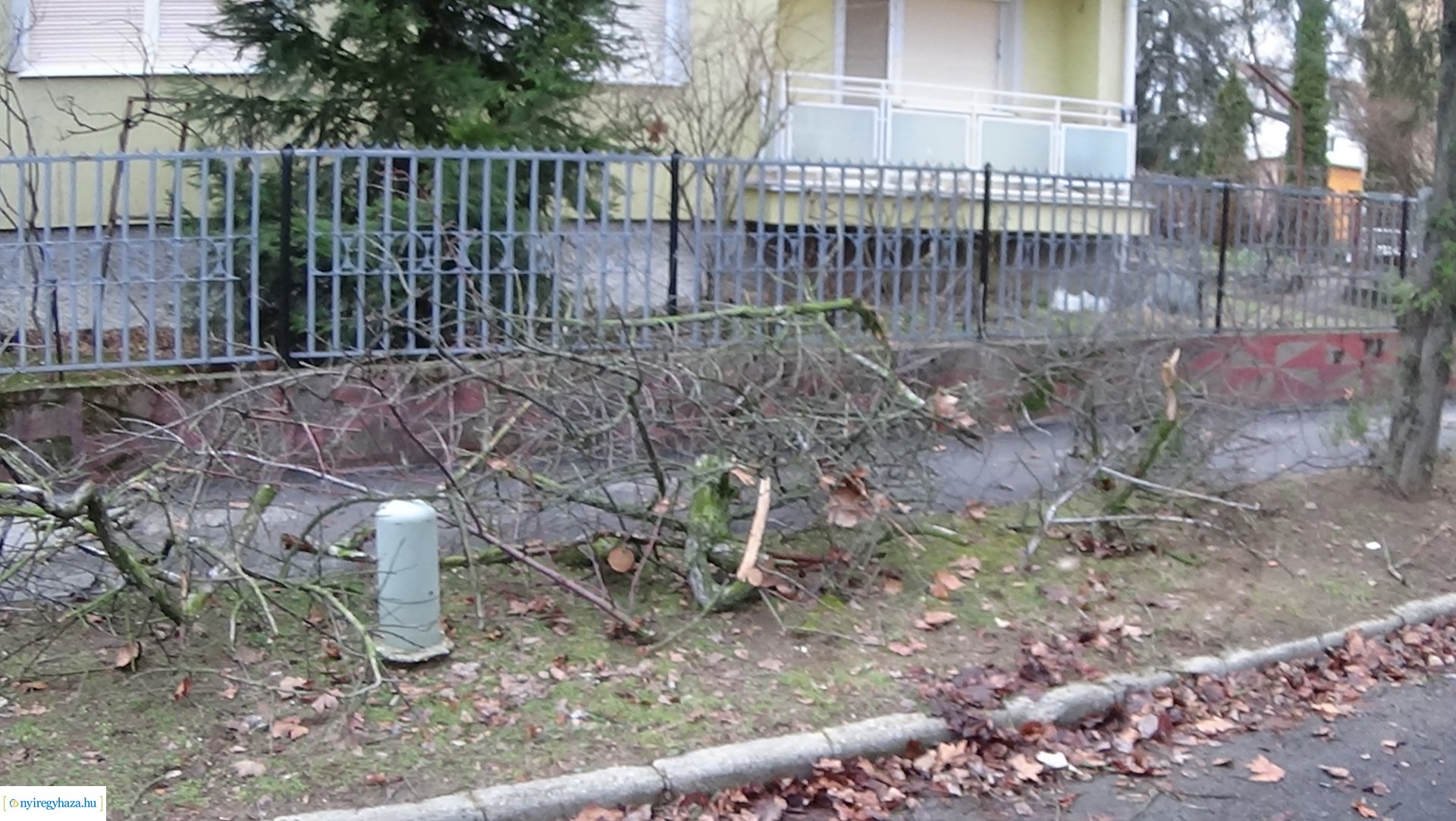Tűzoltók segítettek szerda reggel a Gádor Béla utcán