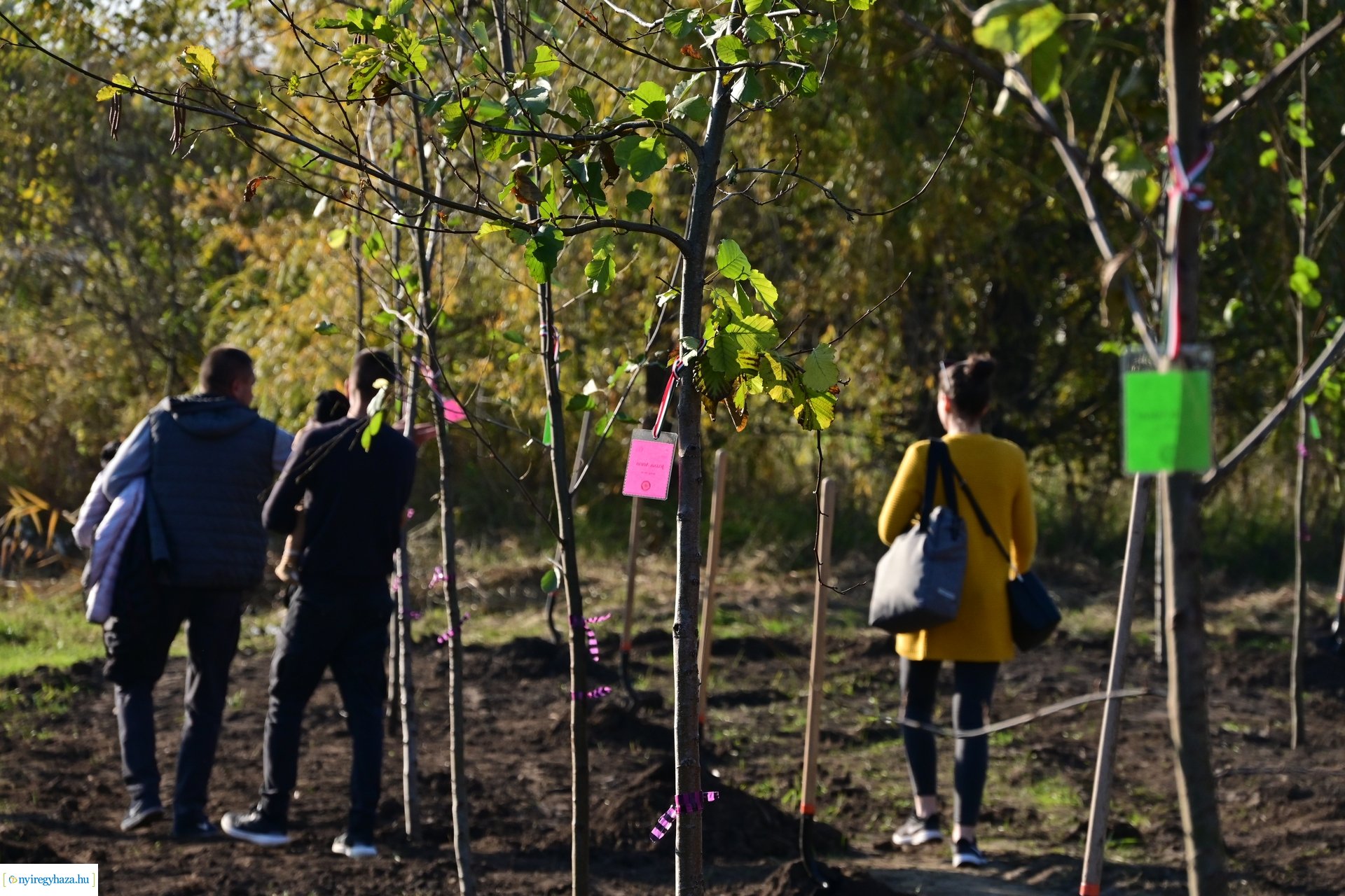 Új Életfa Liget 2024