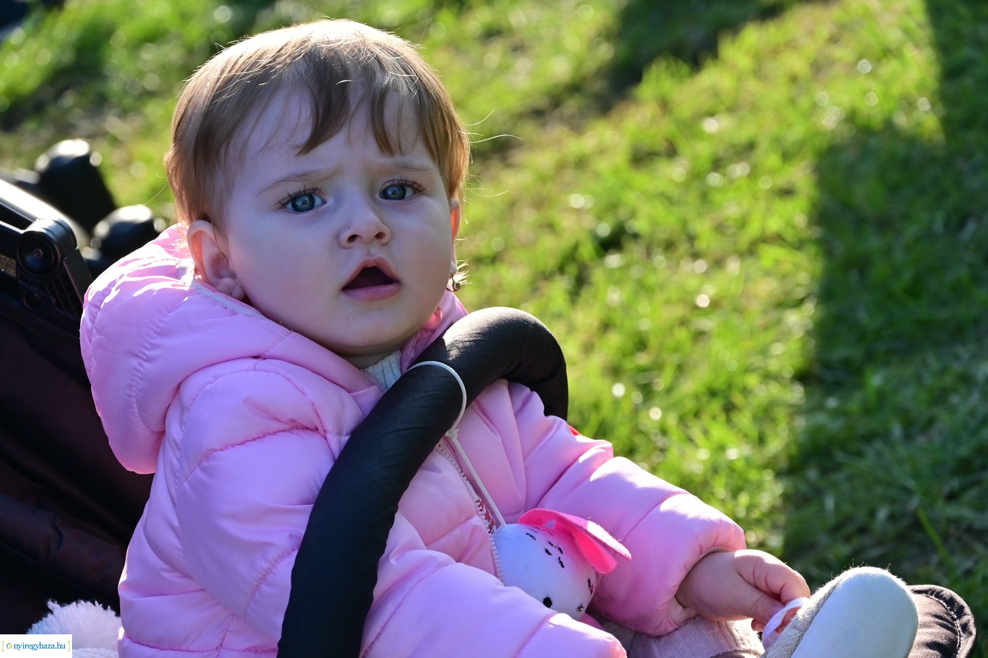 Új Életfa Liget 2024