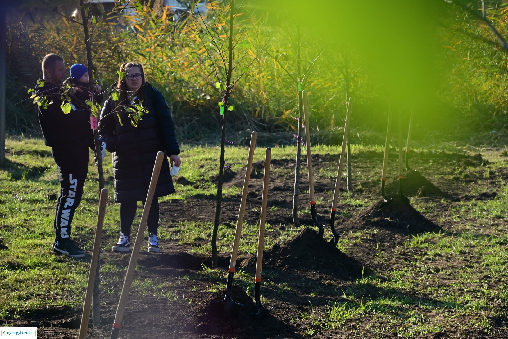 Új Életfa Liget 2024