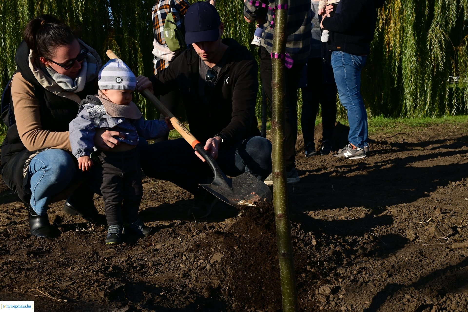 Új Életfa Liget 2024