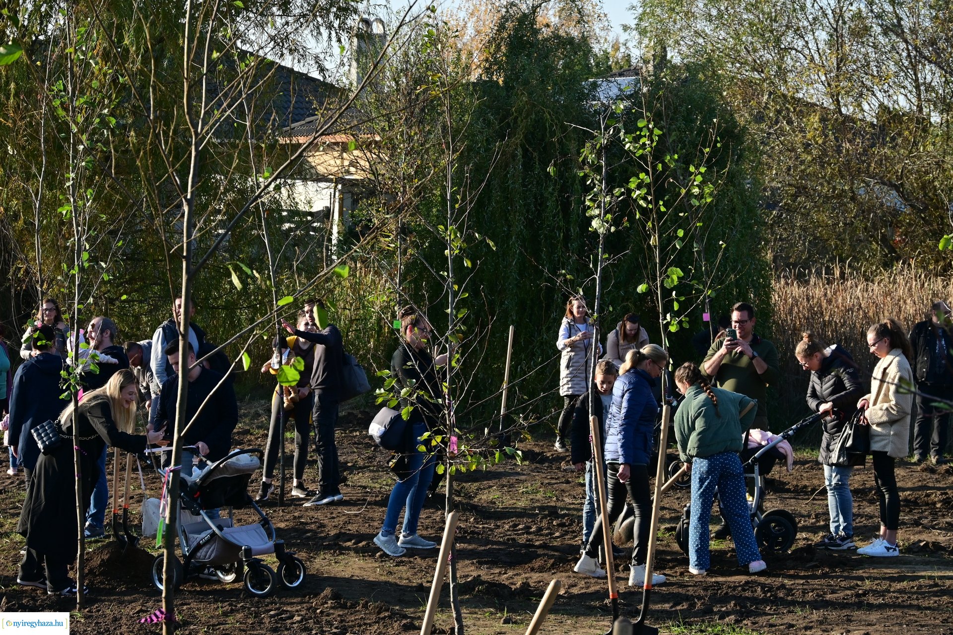 Új Életfa Liget 2024