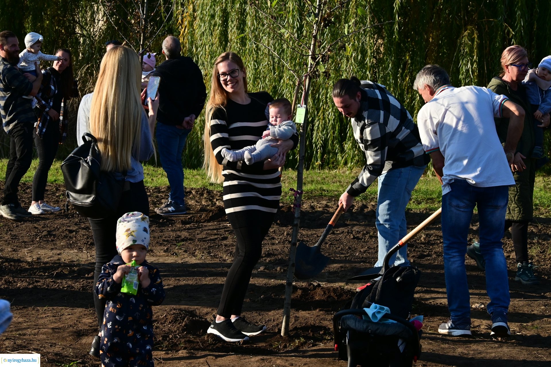 Új Életfa Liget 2024