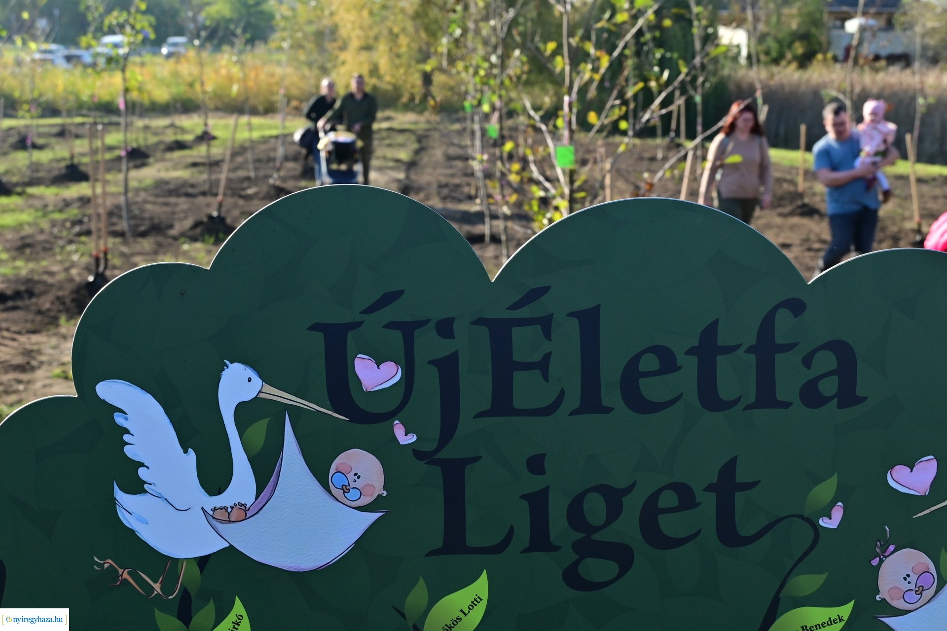 Új Életfa Liget 2024