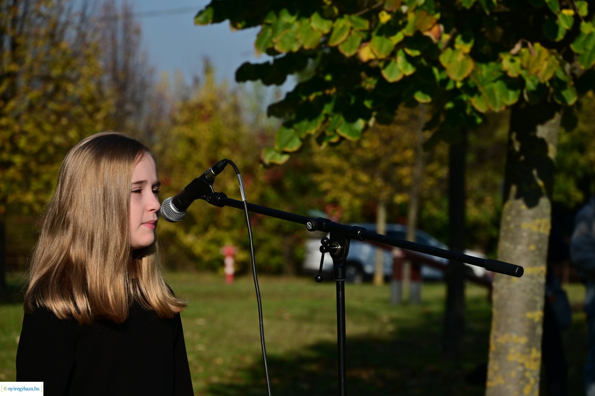 Új Életfa Liget 2024