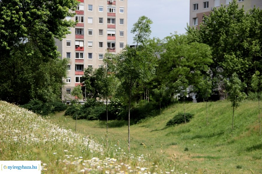 Új játékelem a Robinson dombon