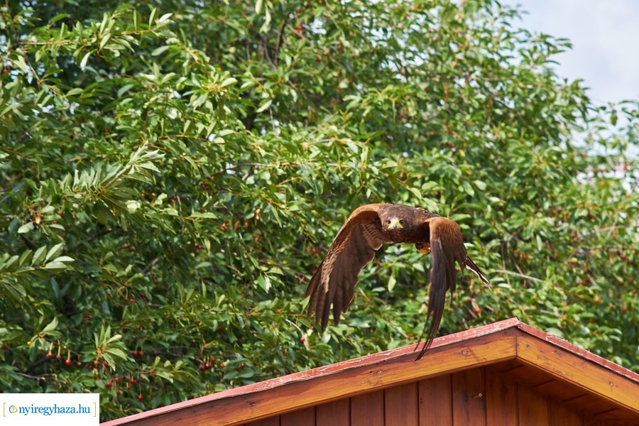 Új kenyér szentelése a múzeumfaluban 2022