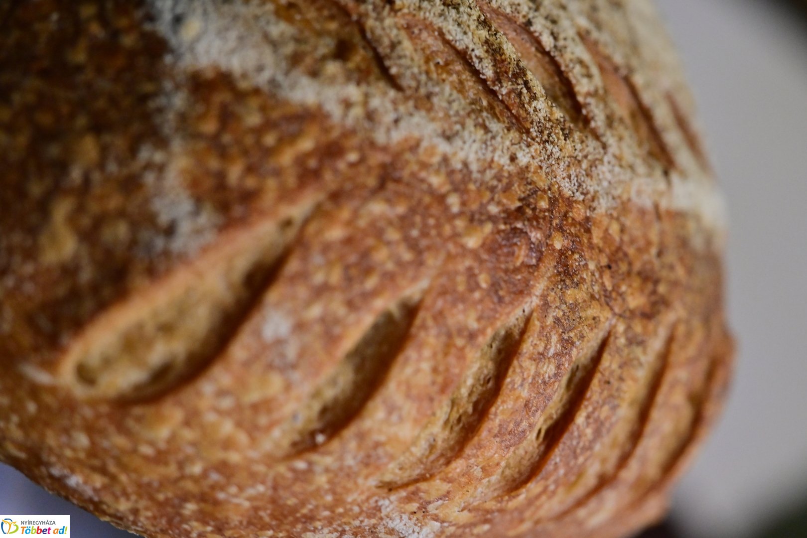 Új kenyér ünnepe a múzeumfaluban - 2025