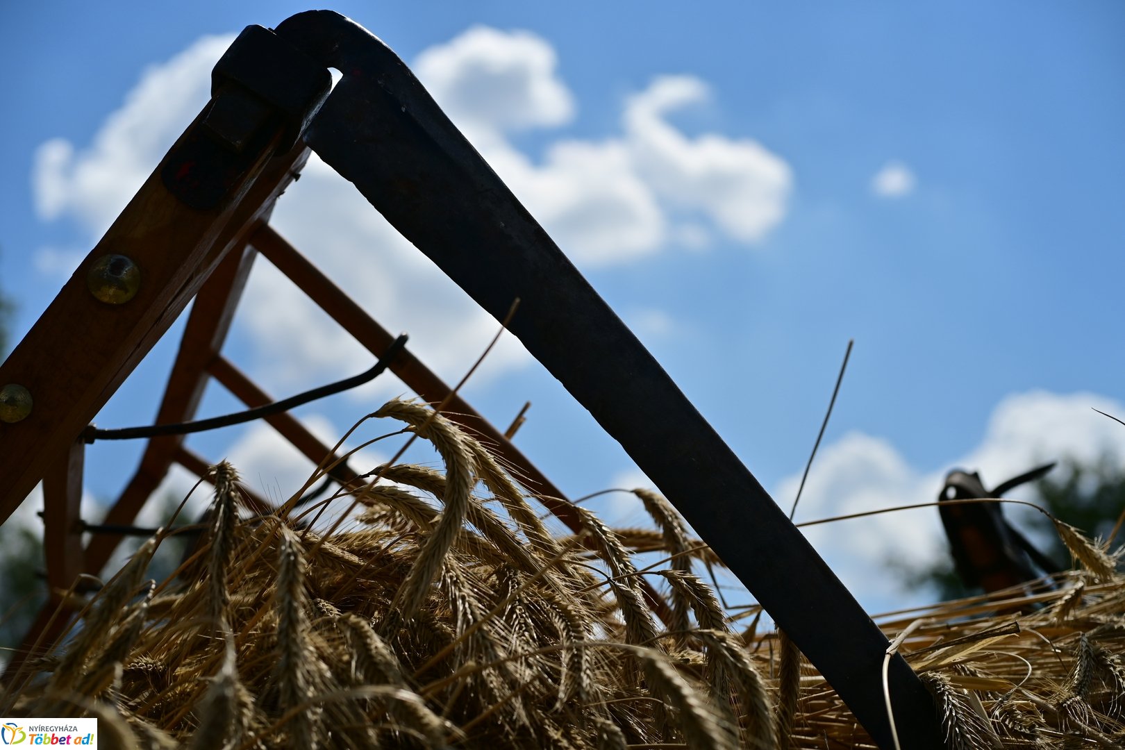 Új kenyér ünnepe a múzeumfaluban - 2025