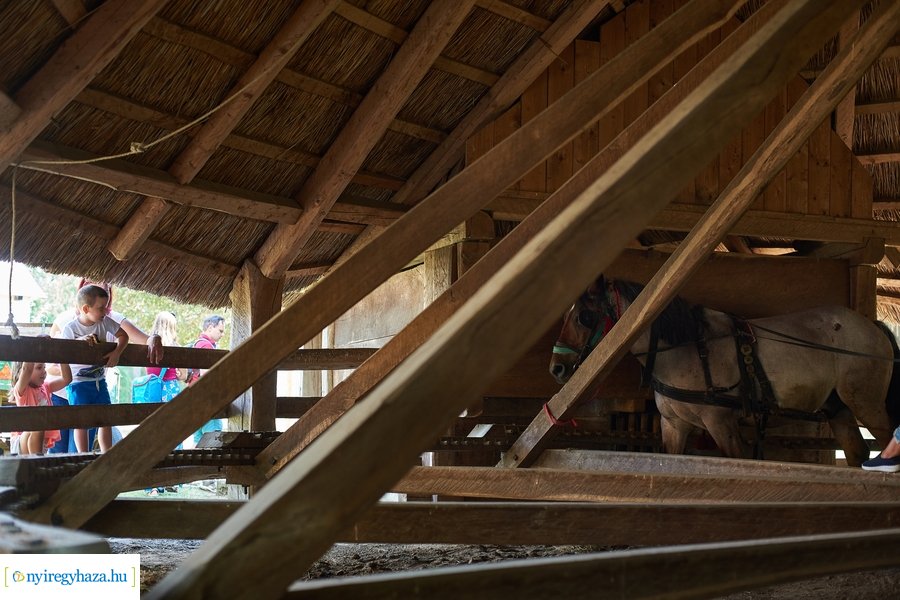 Új kenyér ünnepe a Sóstói Múzeumfaluban 2020