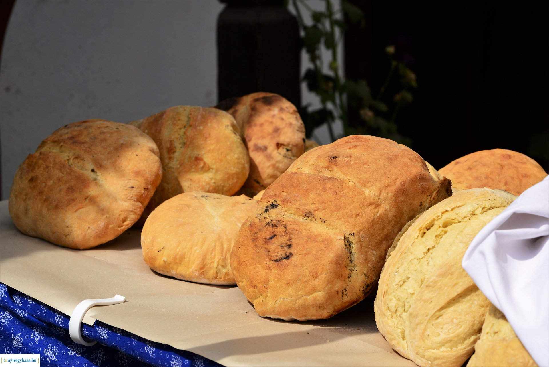 Új kenyér ünnepe a Sóstói Múzeumfaluban 2022-08-20