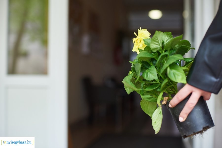 Új látogatási rend az idősotthonokban