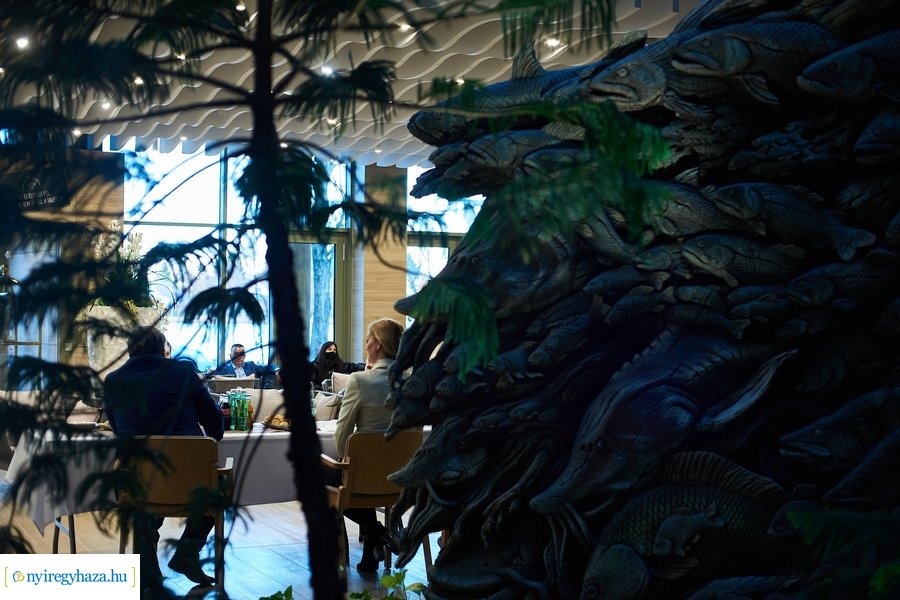 Újabb elismerést szerzett az állatpark