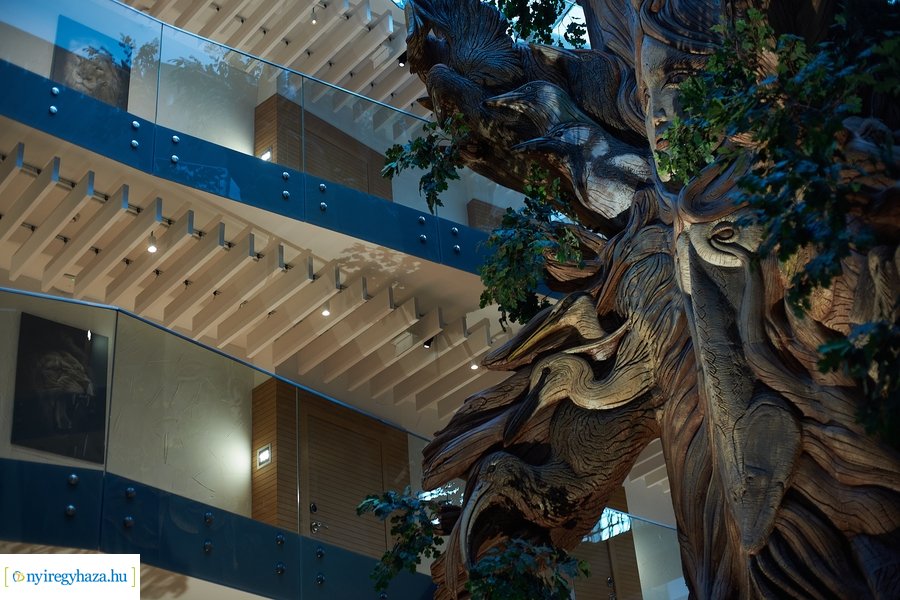 Újabb elismerést szerzett az állatpark