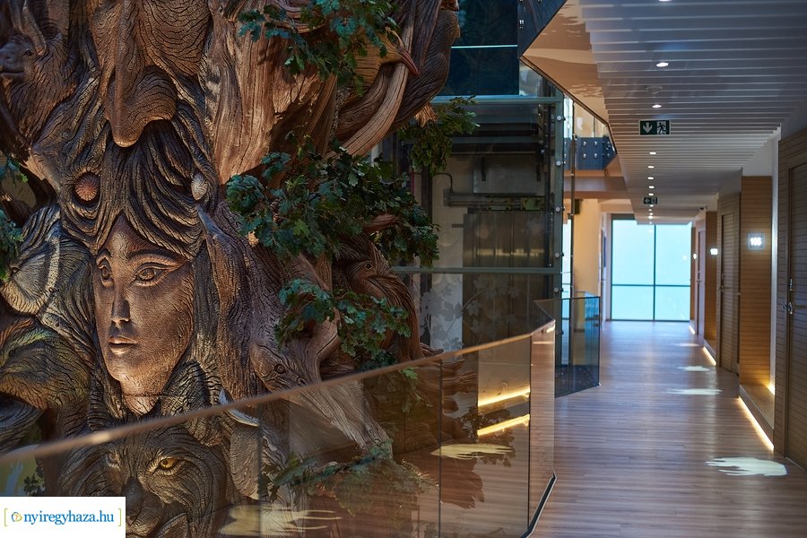 Újabb elismerést szerzett az állatpark