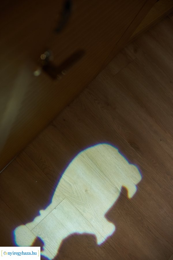 Újabb elismerést szerzett az állatpark