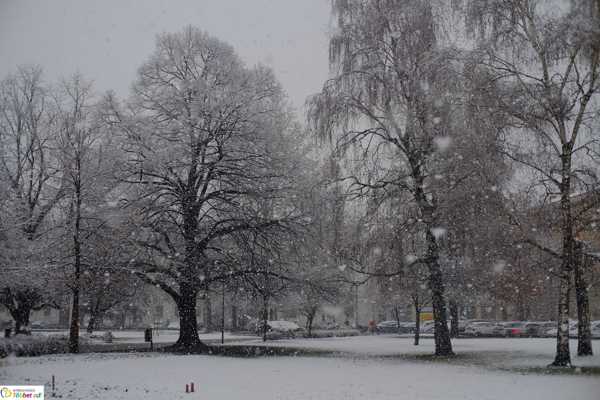 Micsoda havazás! Így nézett ki a város az év első hózápora után