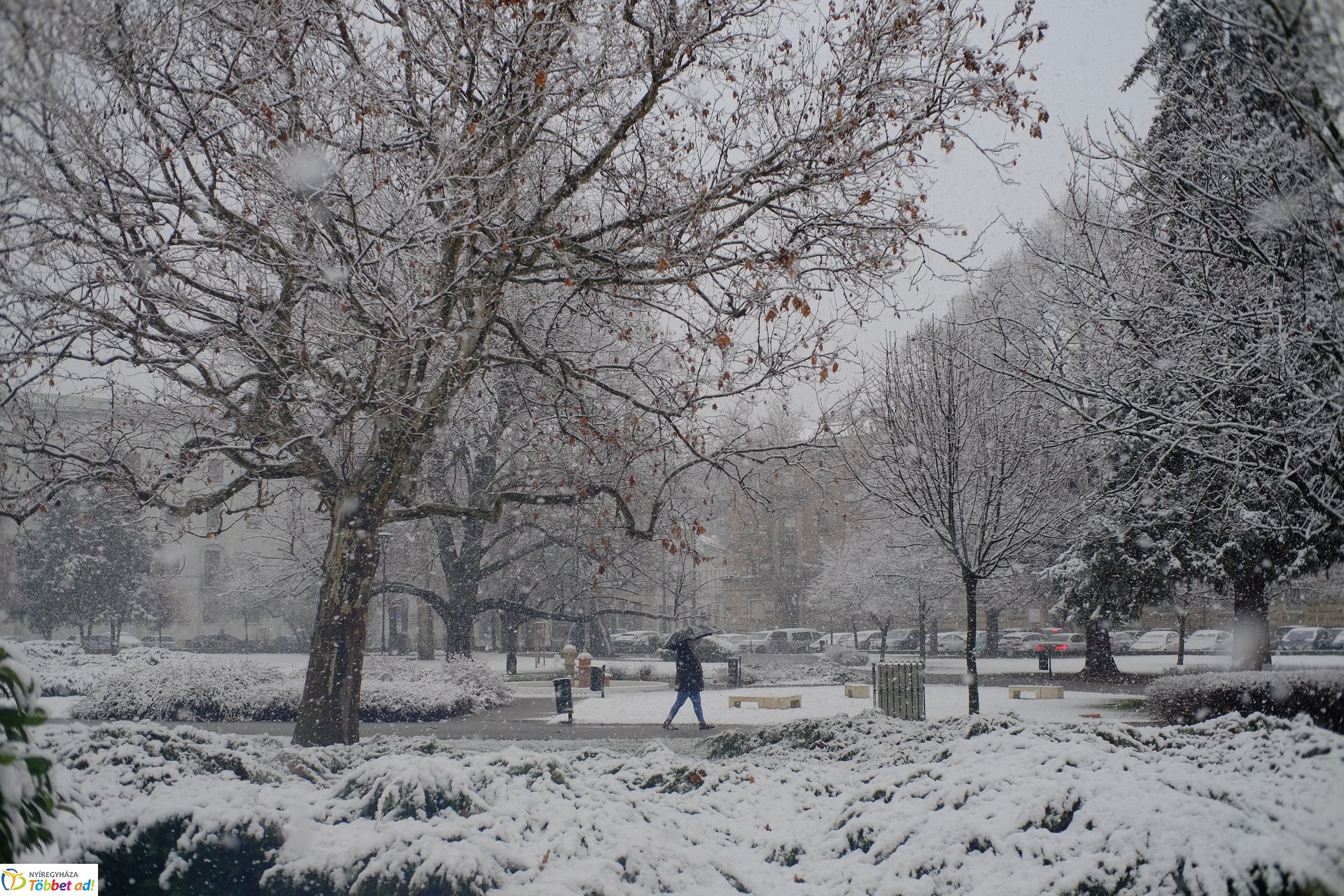 Micsoda havazás! Így nézett ki a város az év első hózápora után