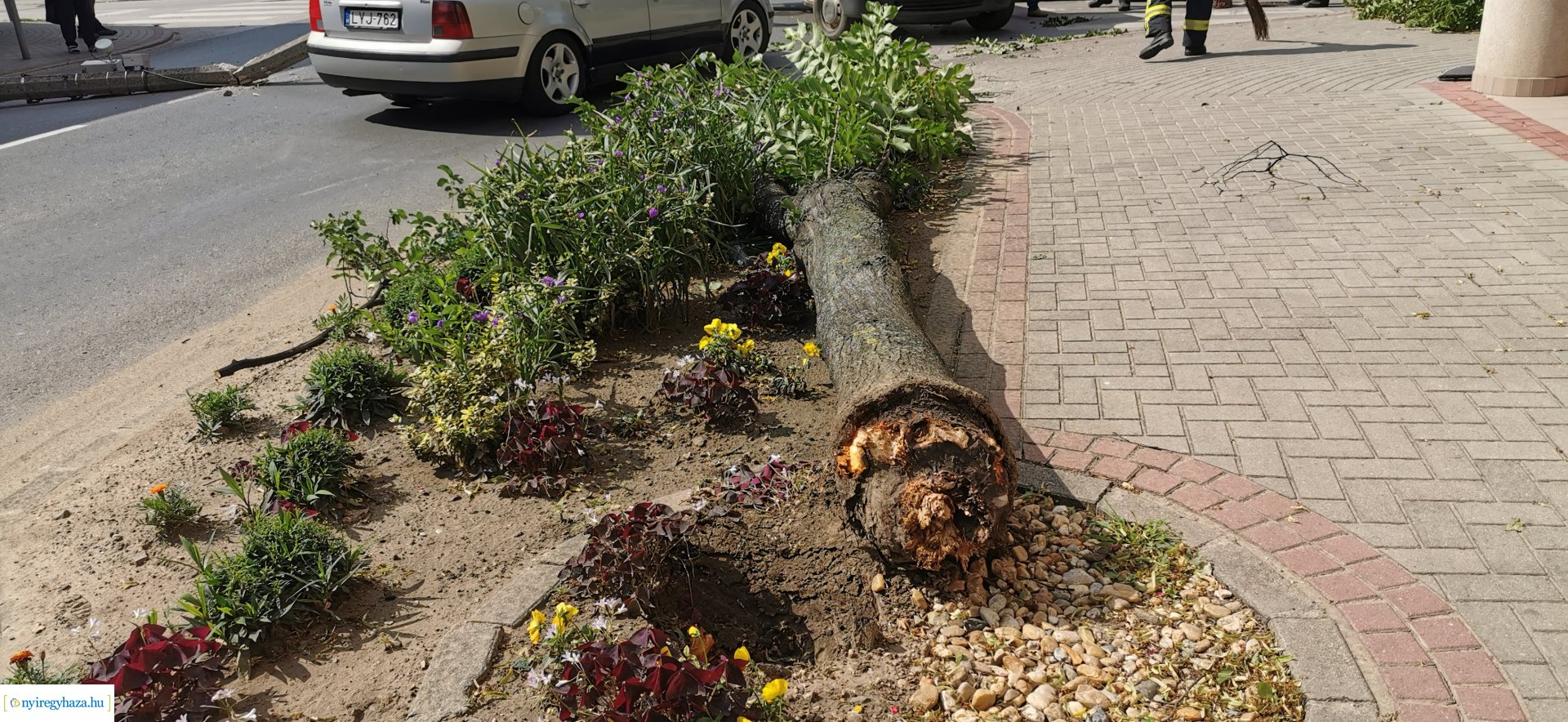 Újfehértói oszlop