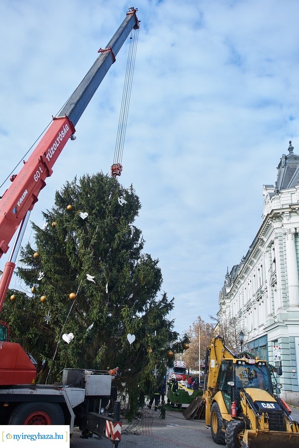 Újra a helyén a karácsonyfa