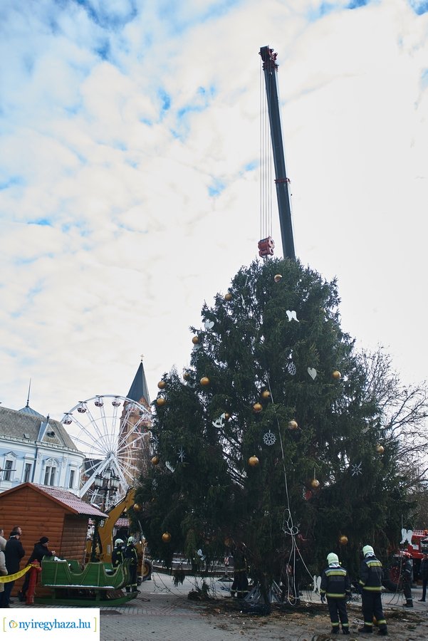 Újra a helyén a karácsonyfa