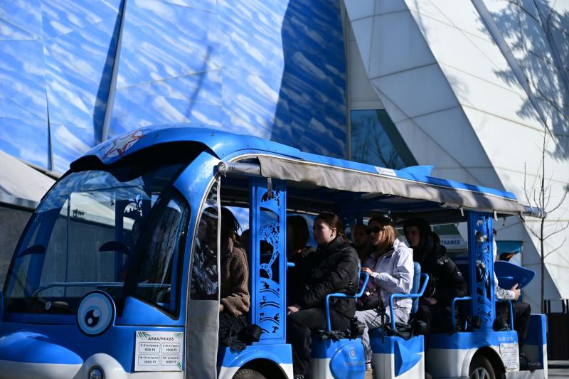 Ukrán gyerekek fogadása az állatparkban 2025 márciusában