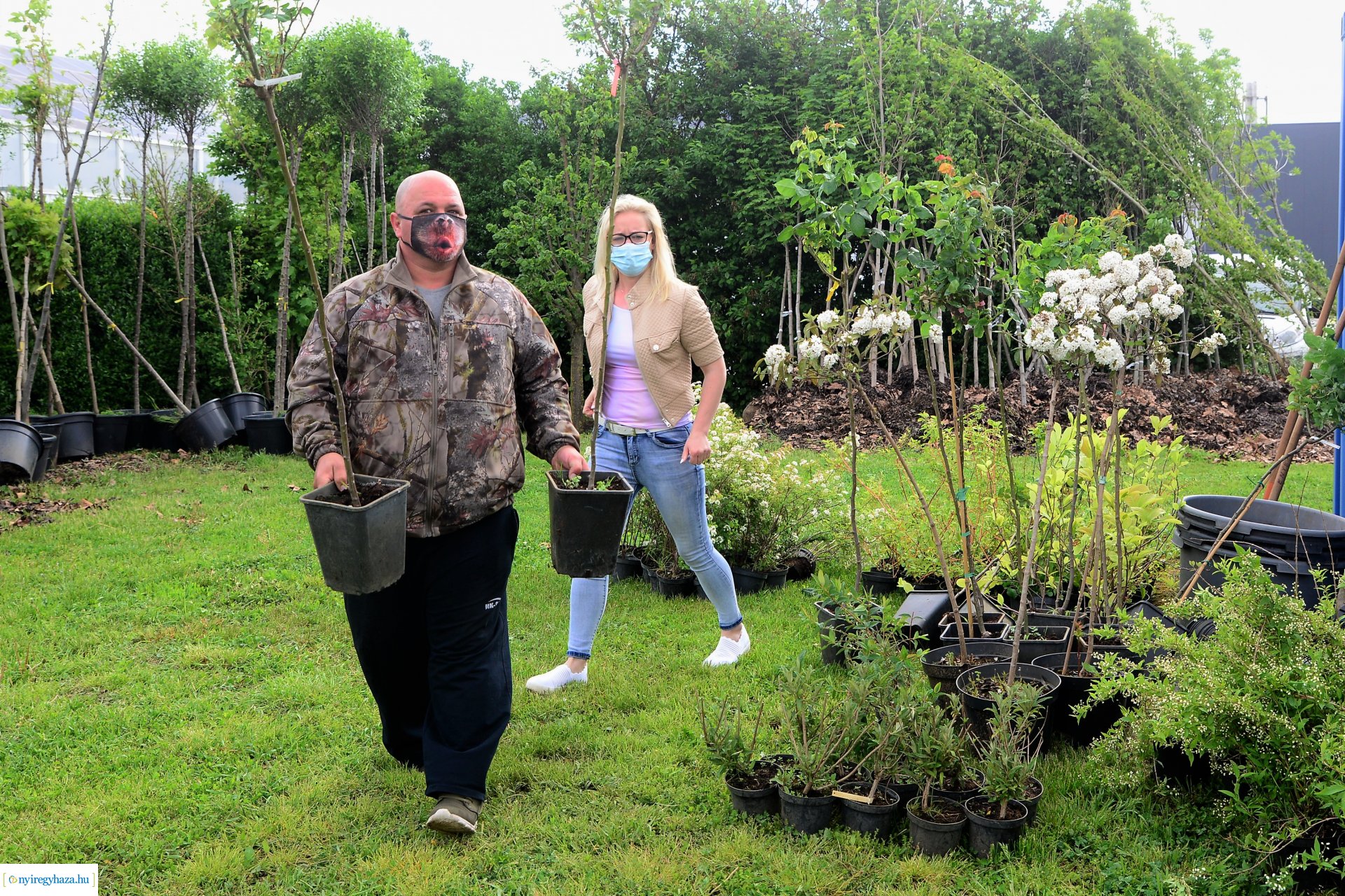 Ültess egy fát a holnapért! - megkezdődött  a növények osztása a NYÍRVV-nél