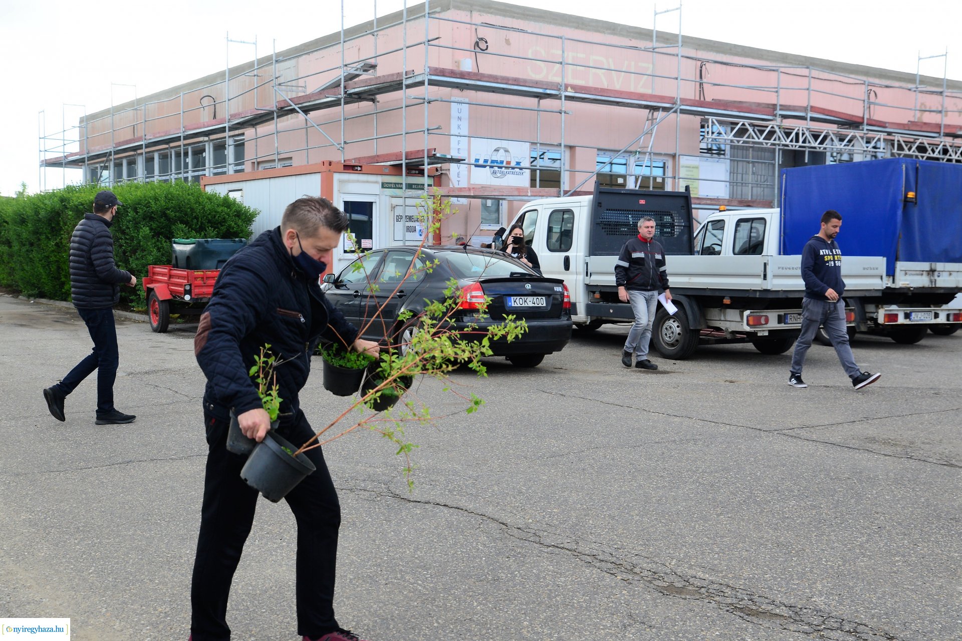 Ültess egy fát a holnapért! - megkezdődött  a növények osztása a NYÍRVV-nél