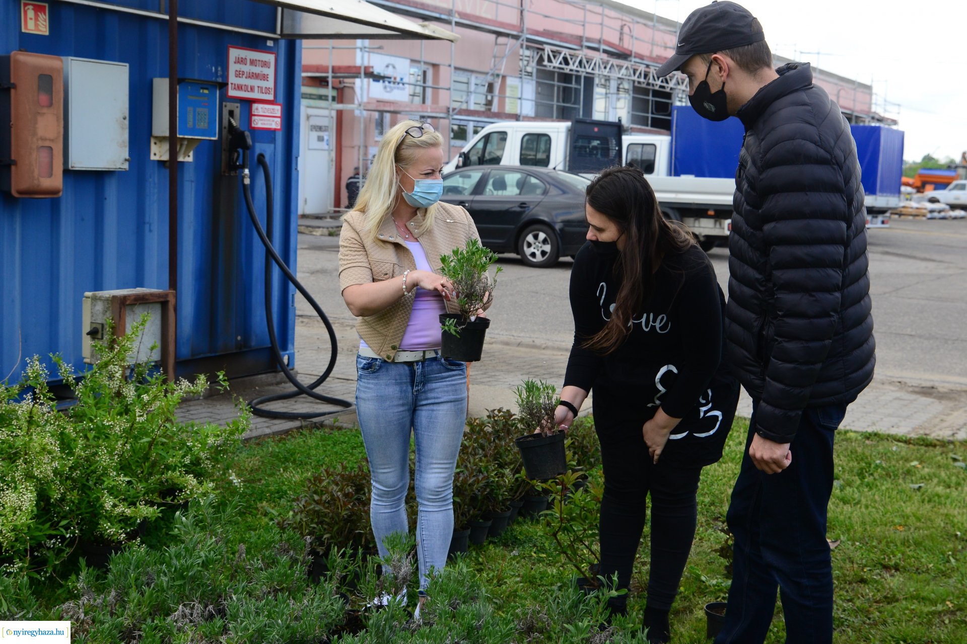 Ültess egy fát a holnapért! - megkezdődött  a növények osztása a NYÍRVV-nél