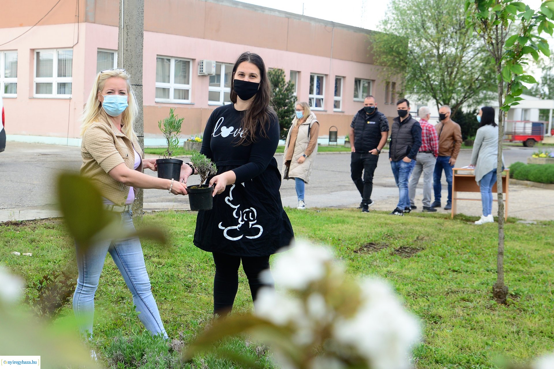 Ültess egy fát a holnapért! - megkezdődött  a növények osztása a NYÍRVV-nél