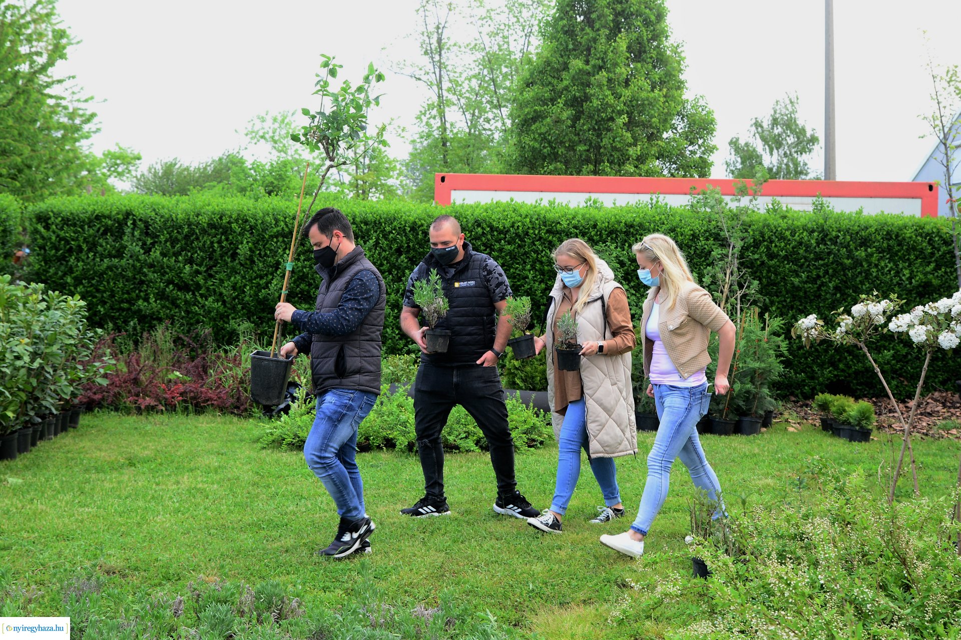 Ültess egy fát a holnapért! - megkezdődött  a növények osztása a NYÍRVV-nél