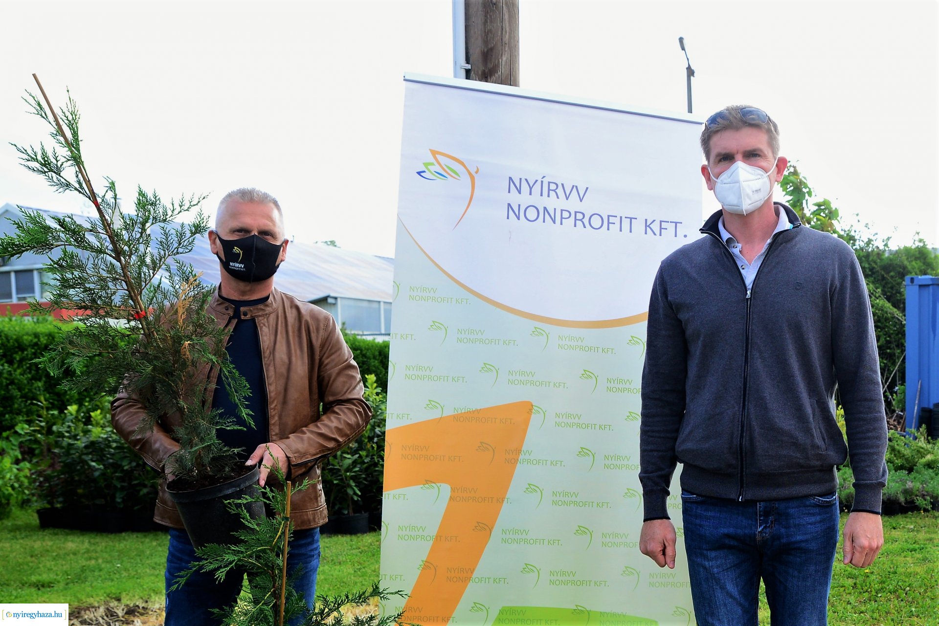 Ültess egy fát a holnapért! - megkezdődött  a növények osztása a NYÍRVV-nél