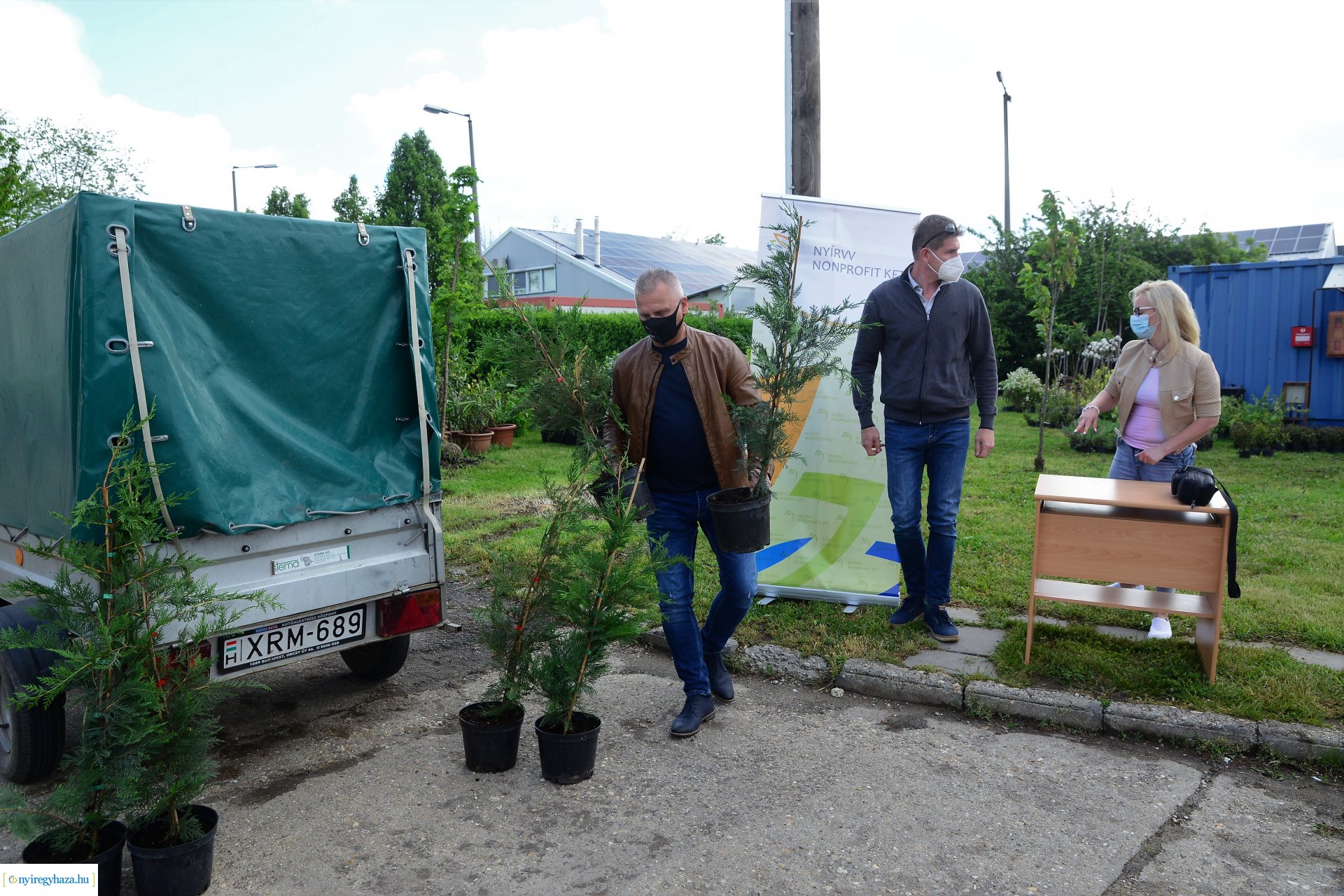 Ültess egy fát a holnapért! - megkezdődött  a növények osztása a NYÍRVV-nél