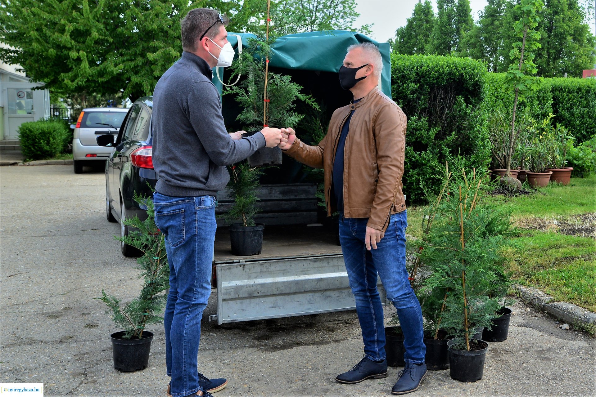 Ültess egy fát a holnapért! - megkezdődött  a növények osztása a NYÍRVV-nél