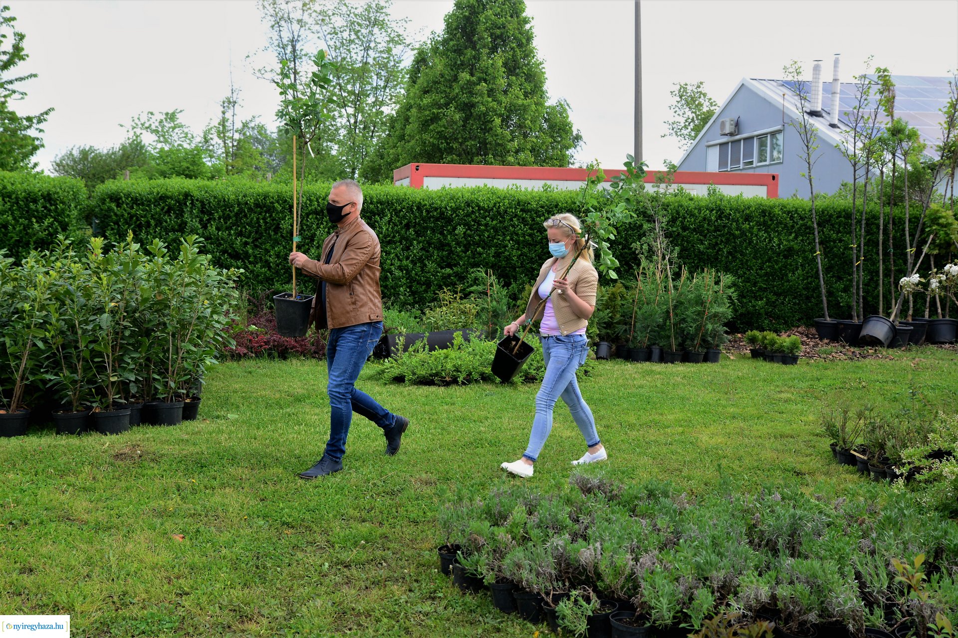 Ültess egy fát a holnapért! - megkezdődött  a növények osztása a NYÍRVV-nél