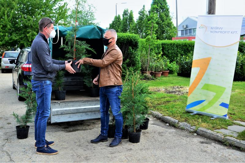Ültess egy fát a holnapért! - megkezdődött  a növények osztása a NYÍRVV-nél