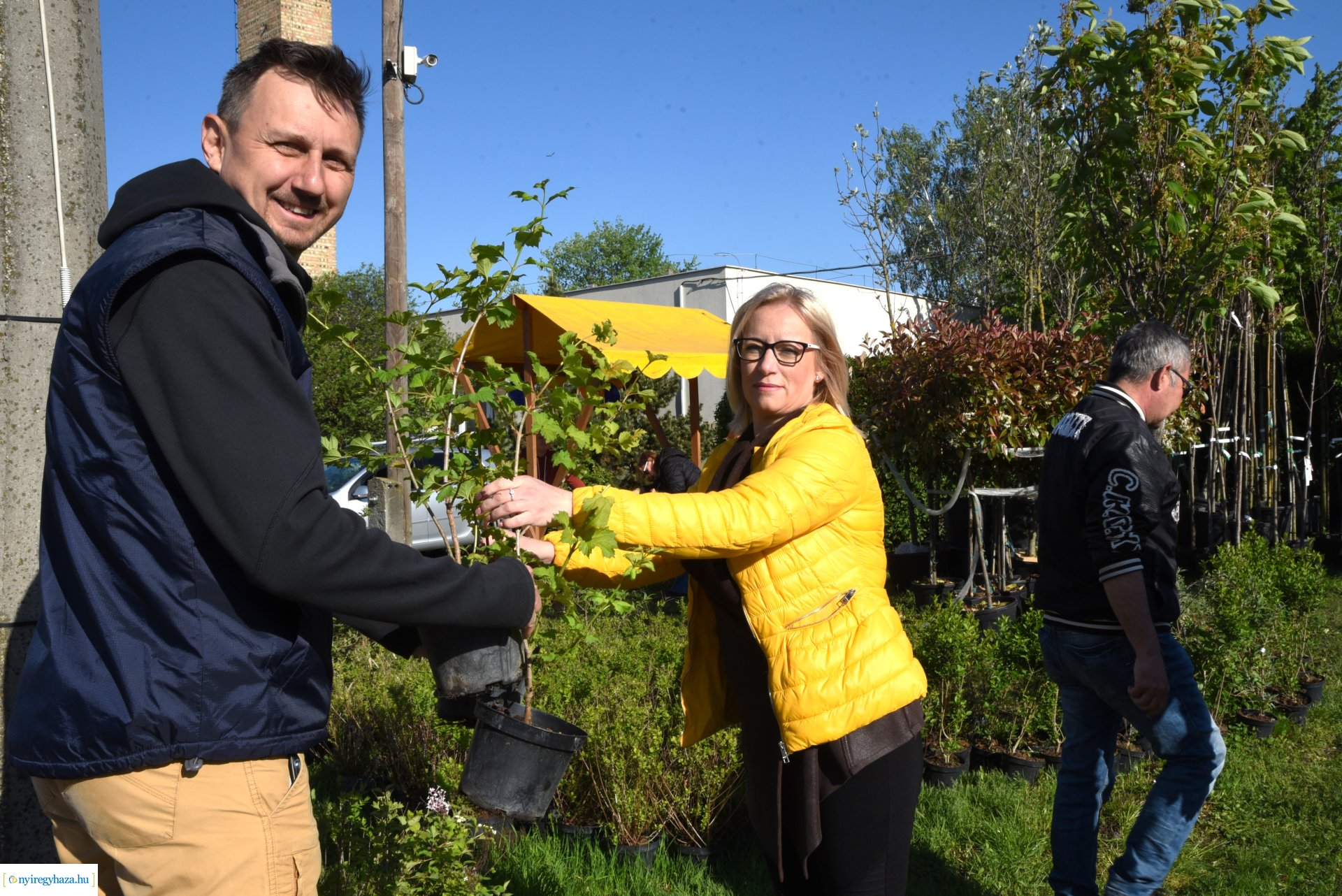 Ültess egy fát a holnapért! - növények átvétele a Nyírvv-nél 2024
